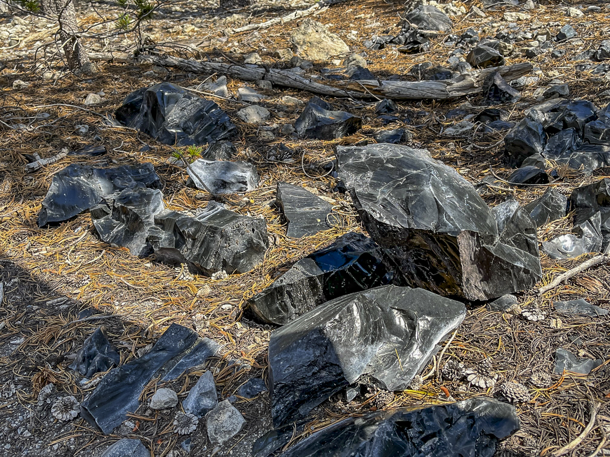 Crater Rim Trail provides for exceptional views of Paulina Peak ...
