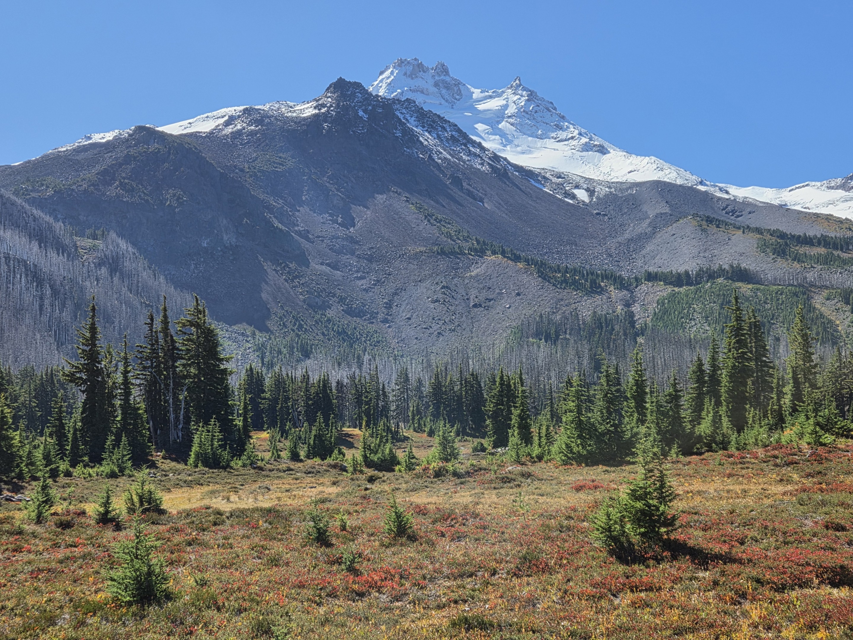 Jefferson Park Meadow