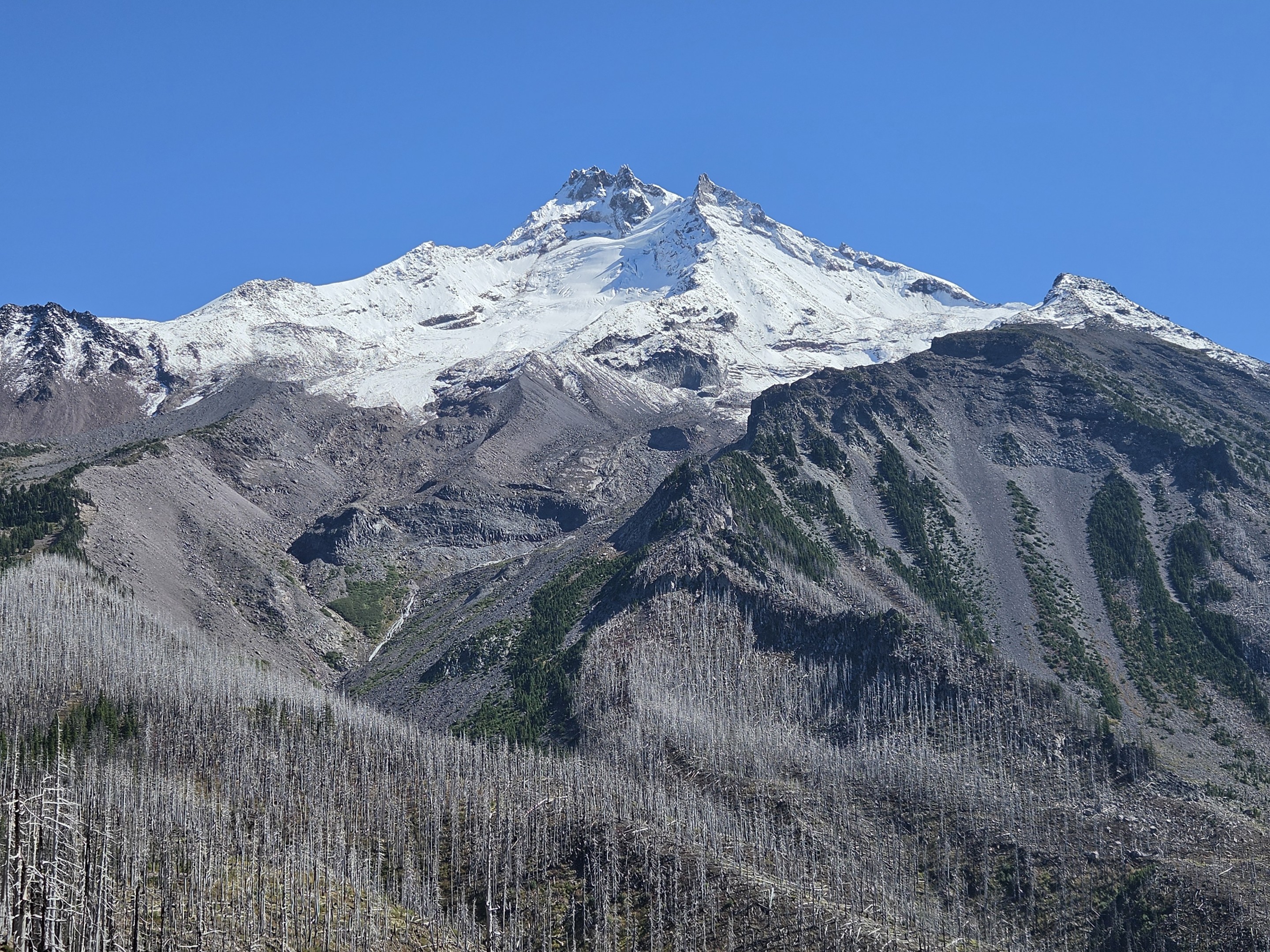 Mt Jefferson Rises from Burnt Forest