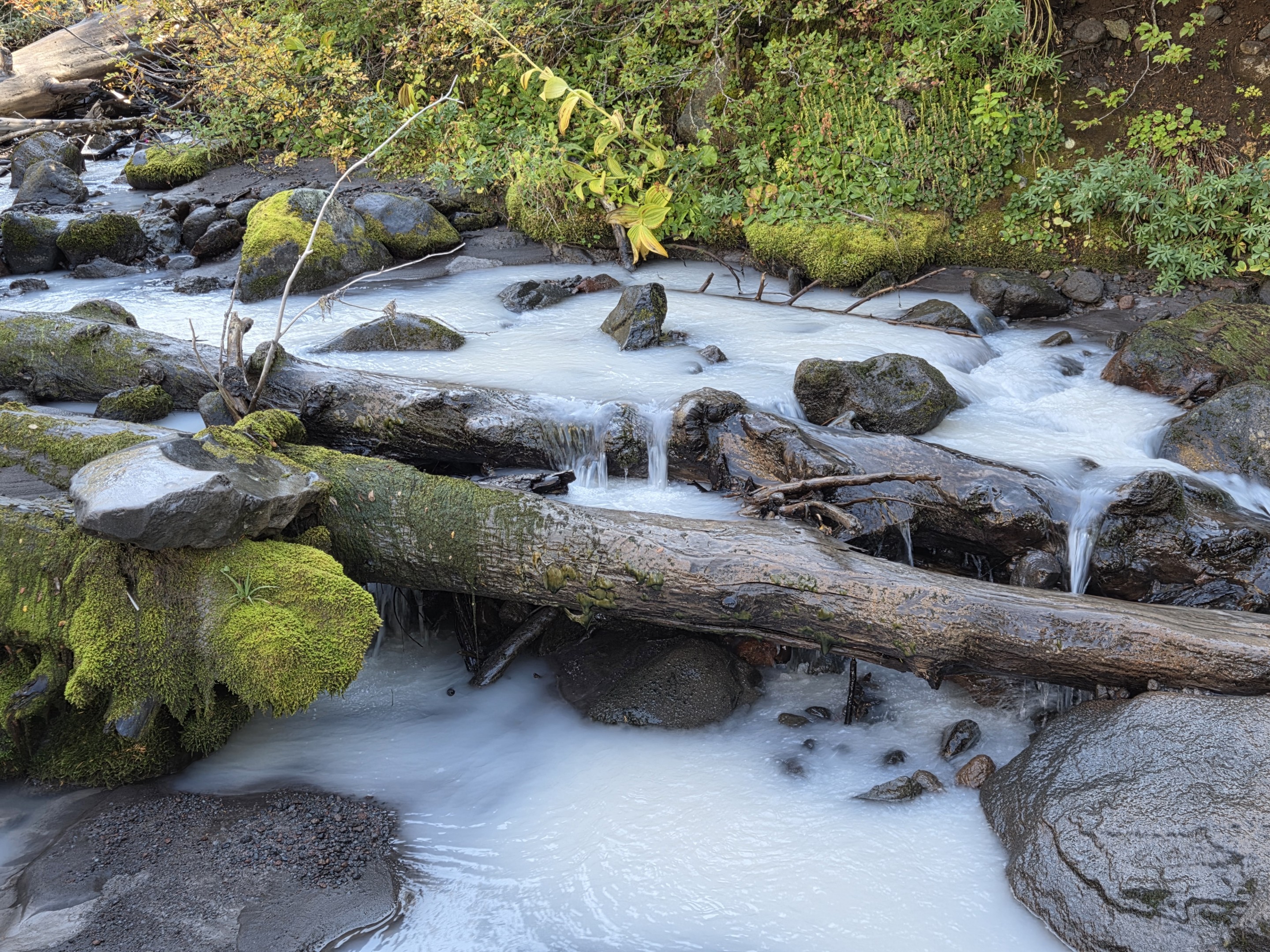 Whitewater Creek