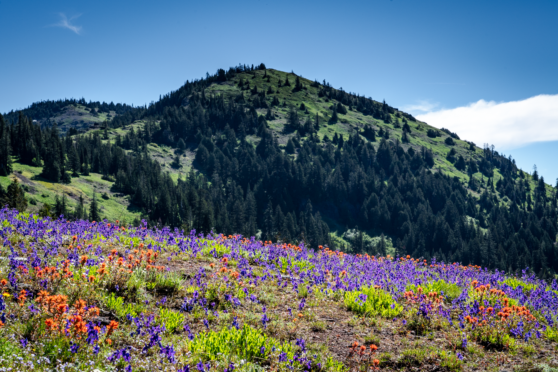 Bend Oregon real estate