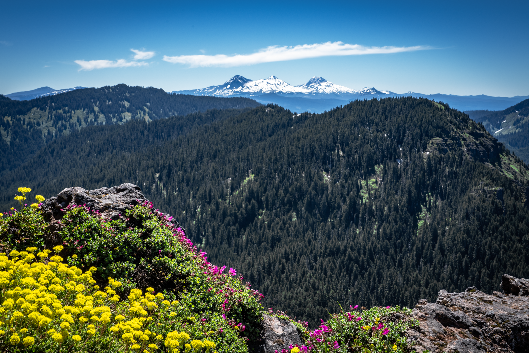 Iron Mountain hike Oregon