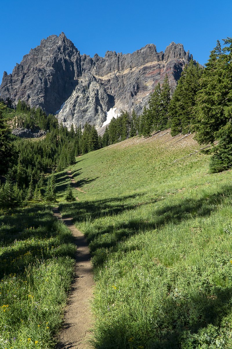 Three Fingered Jack