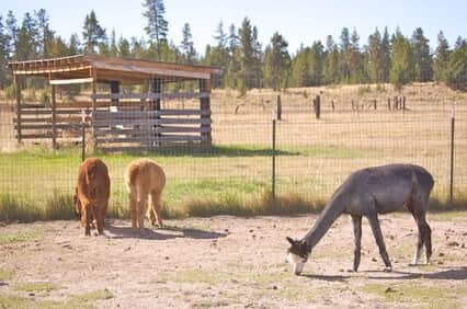 La Pine, OR Real Estate & Homes for Sale